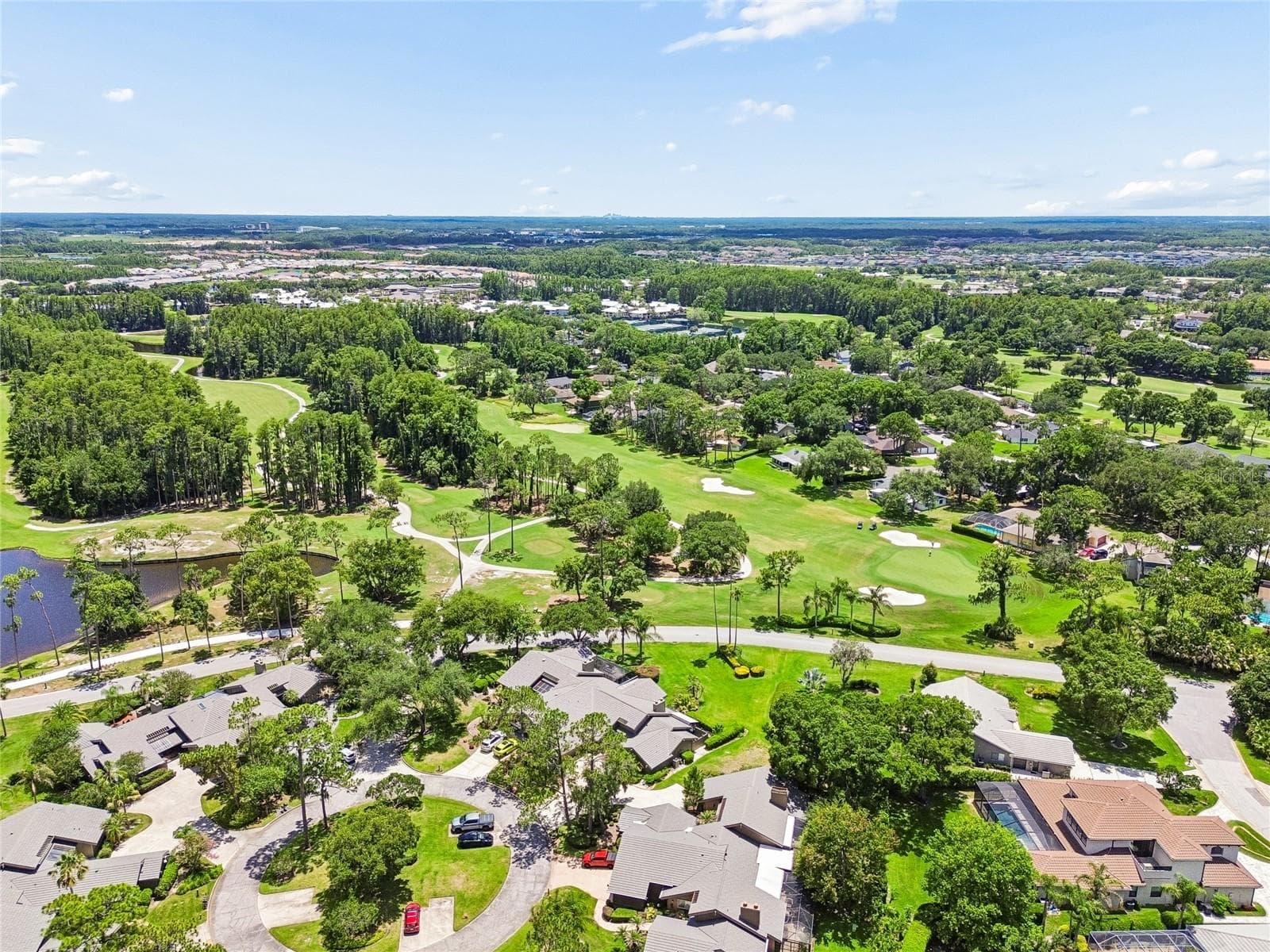 Arial - 5335 SAND CRANE CT, WESLEY CHAPEL