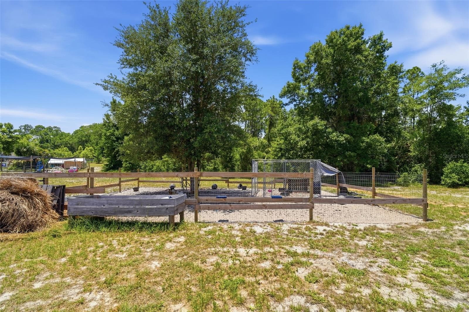 Livestock - 7242 BLACK RD, LAKE WALES