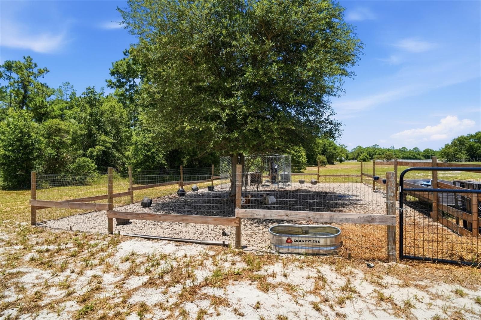 Livestock - 7242 BLACK RD, LAKE WALES