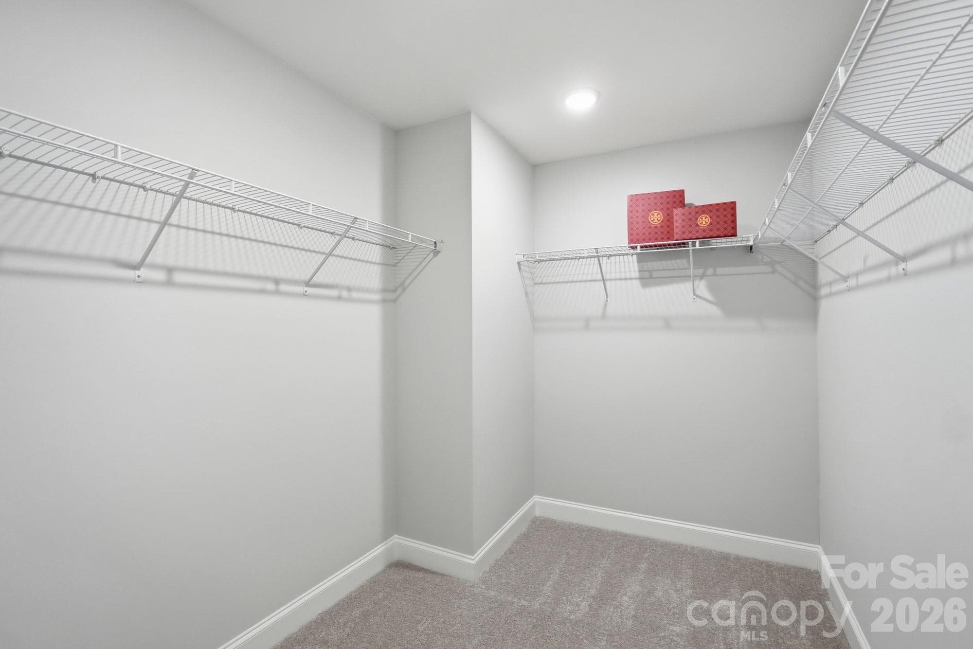 Walk in Closet - Rock Hill