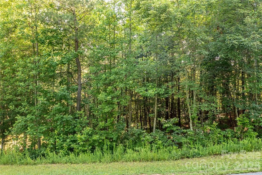 Lot at Hickory, photo 11 of 35
