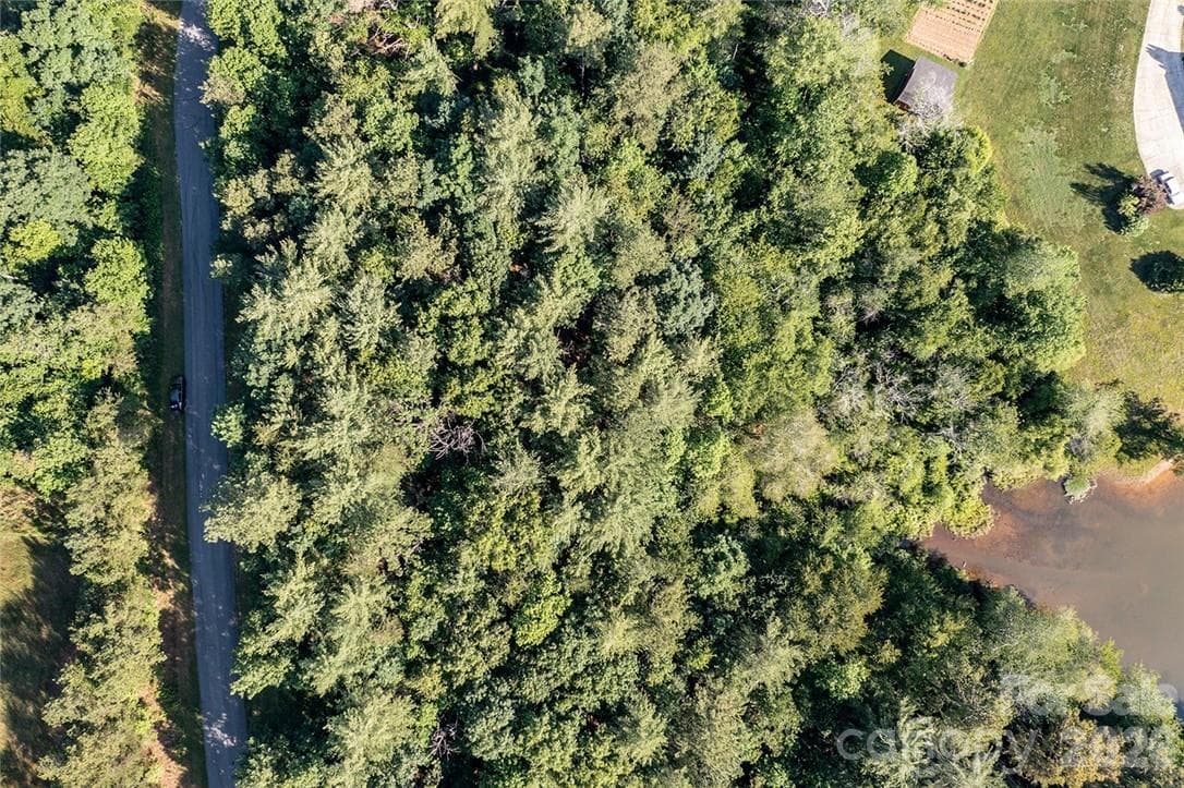 Lot at Hickory, photo 21 of 35