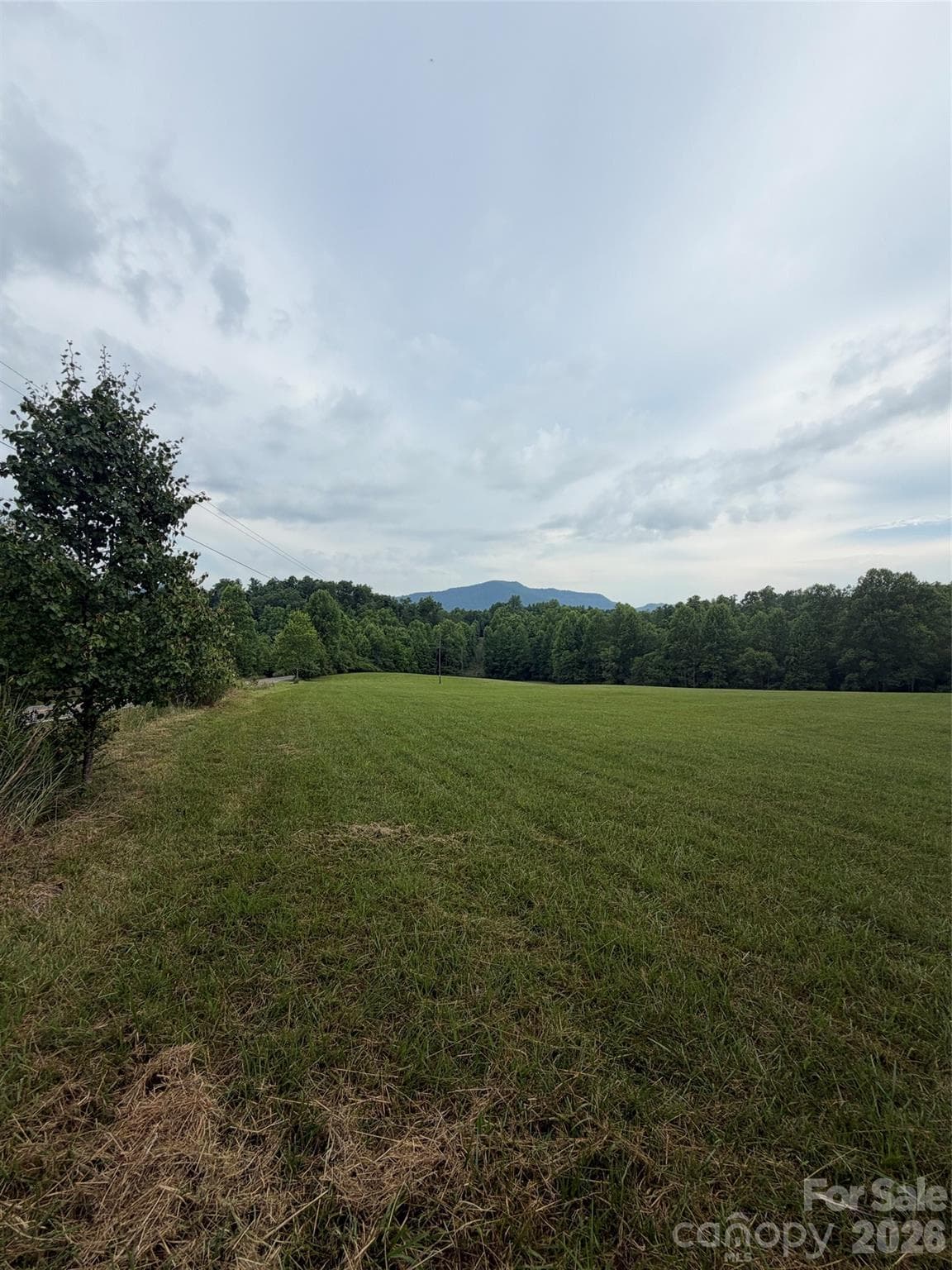Lot at 3454 Parker Padgett Road, Old Fort, photo 10 of 11