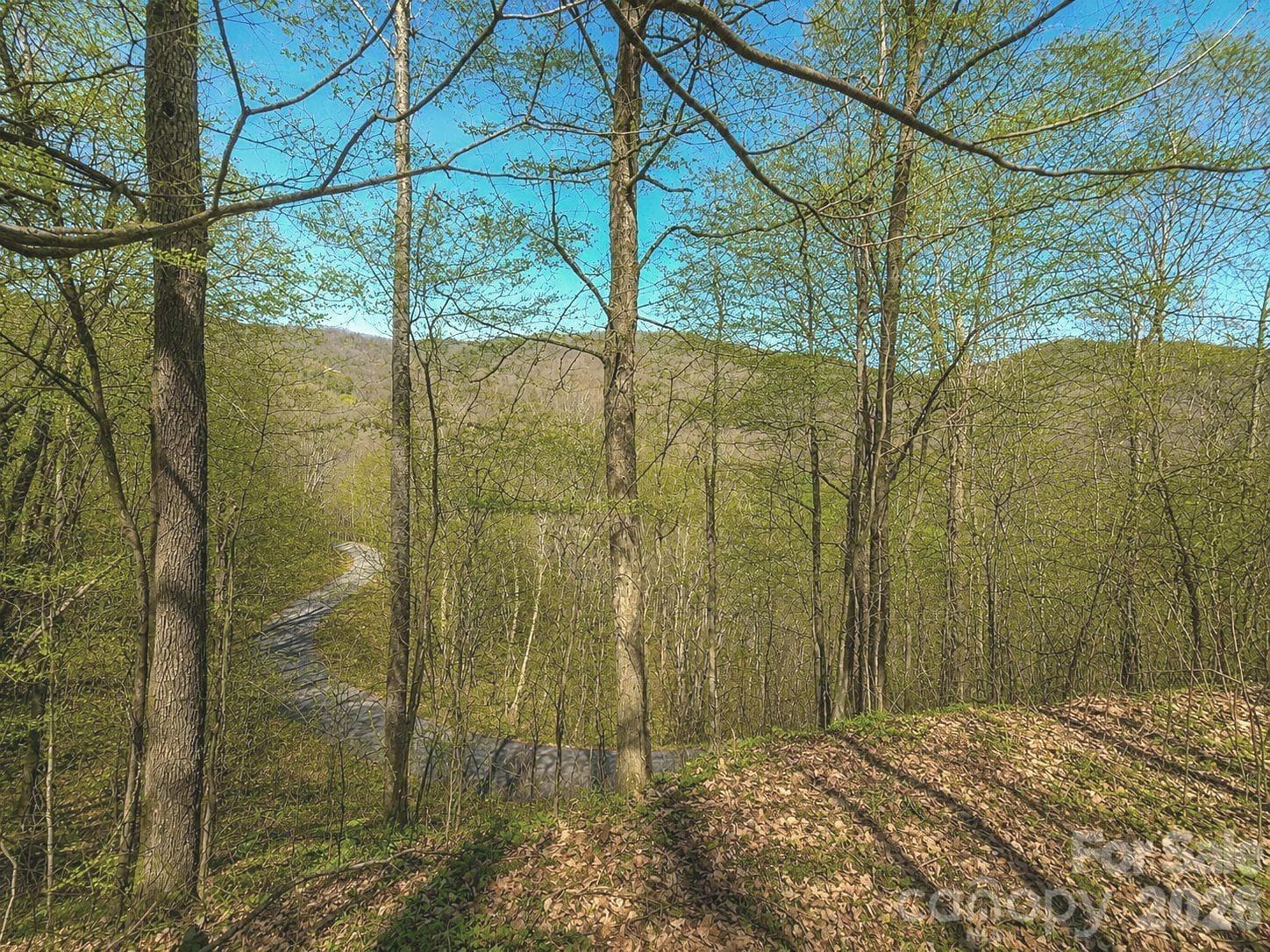 Lot at Waynesville, photo 2 of 21