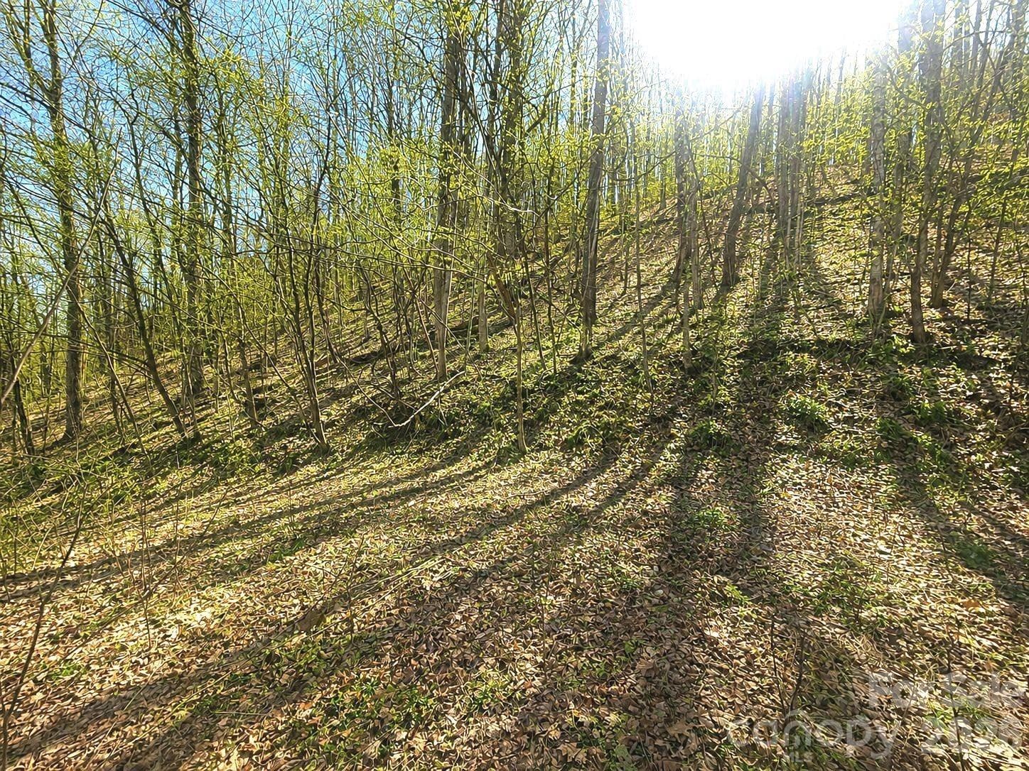 Lot at Waynesville, photo 4 of 21