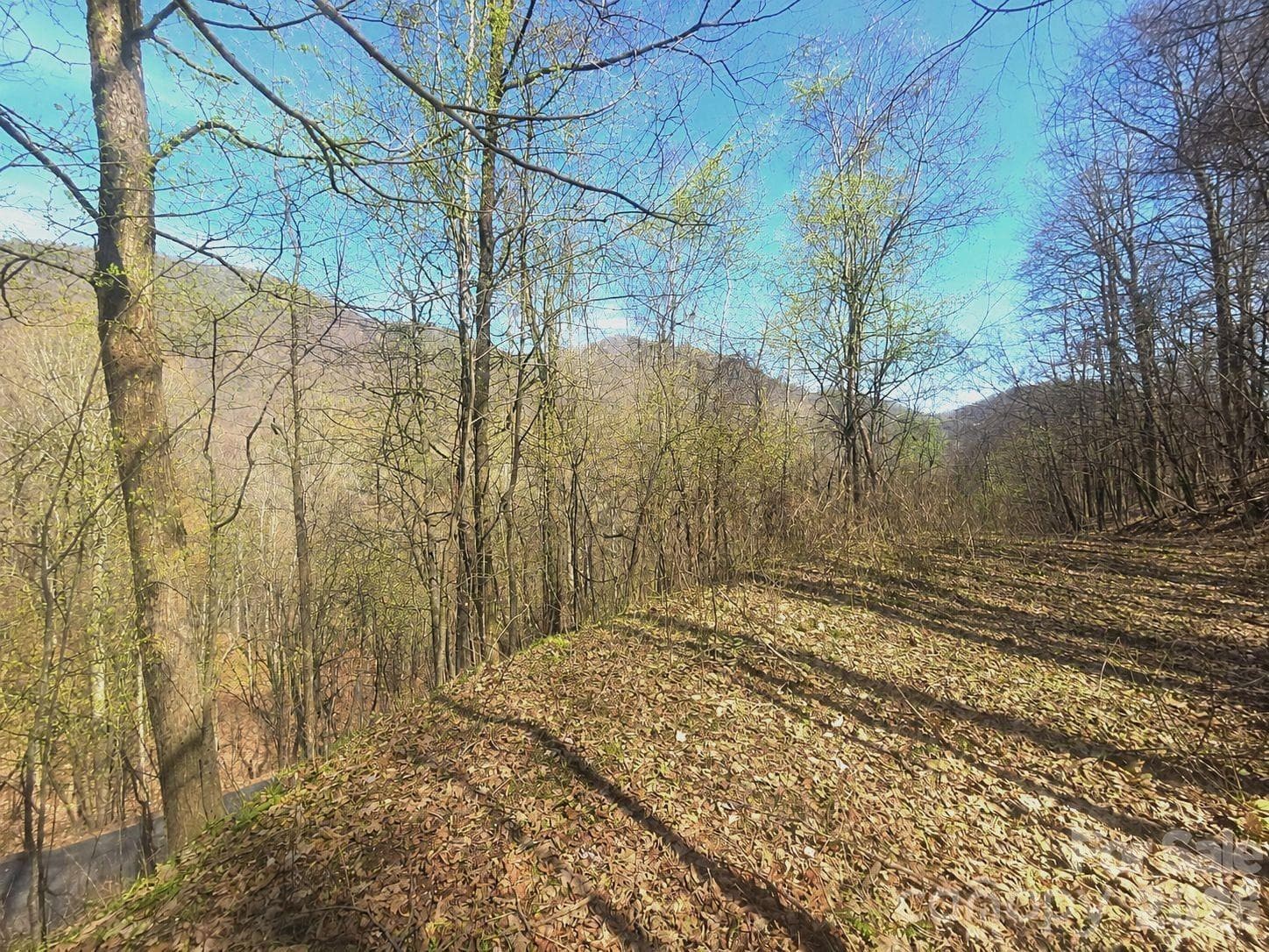 Lot at Waynesville, photo 3 of 21