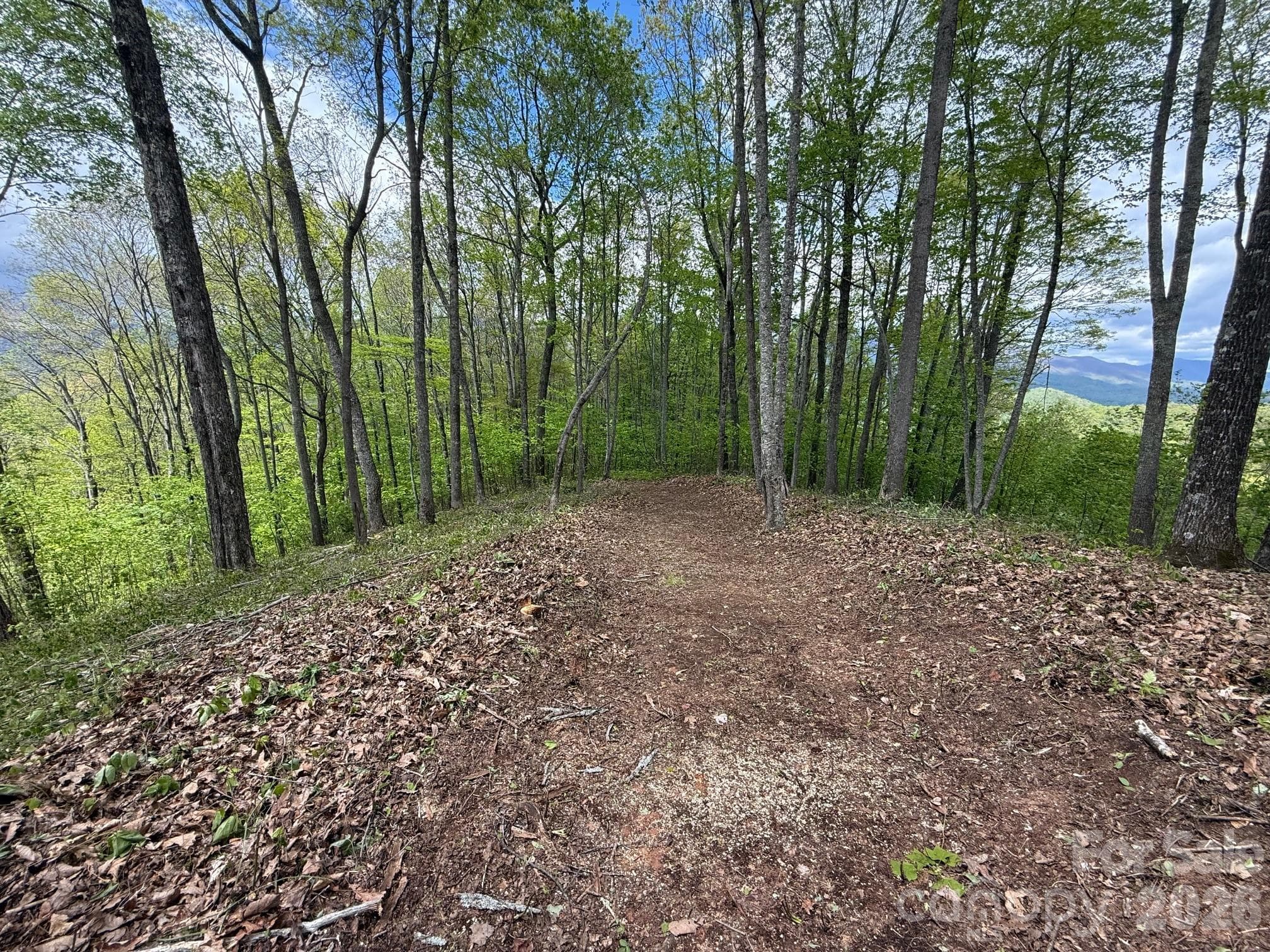 Lot at Sylva, photo 2 of 3
