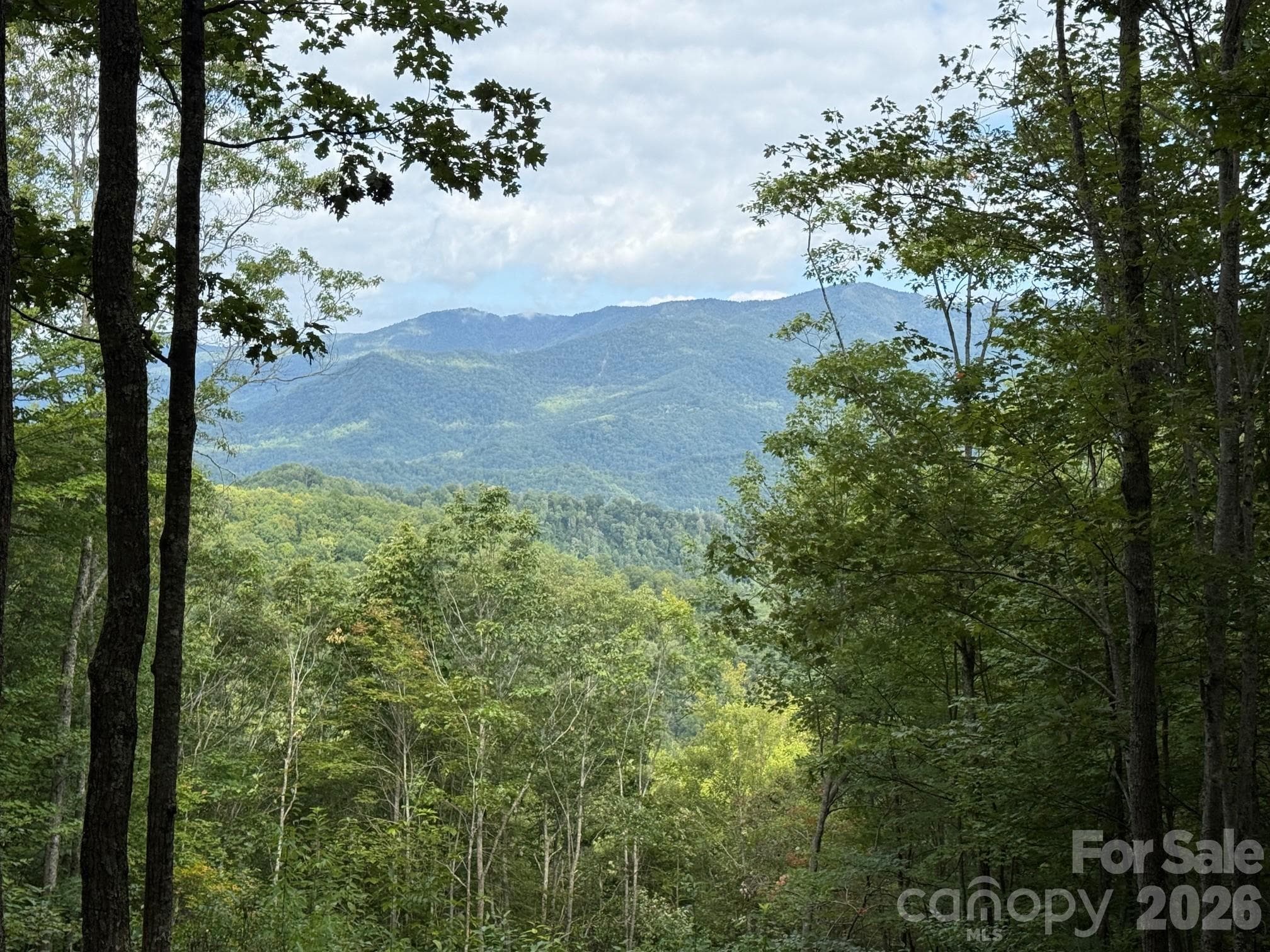 Lot at Sylva, photo 3 of 21