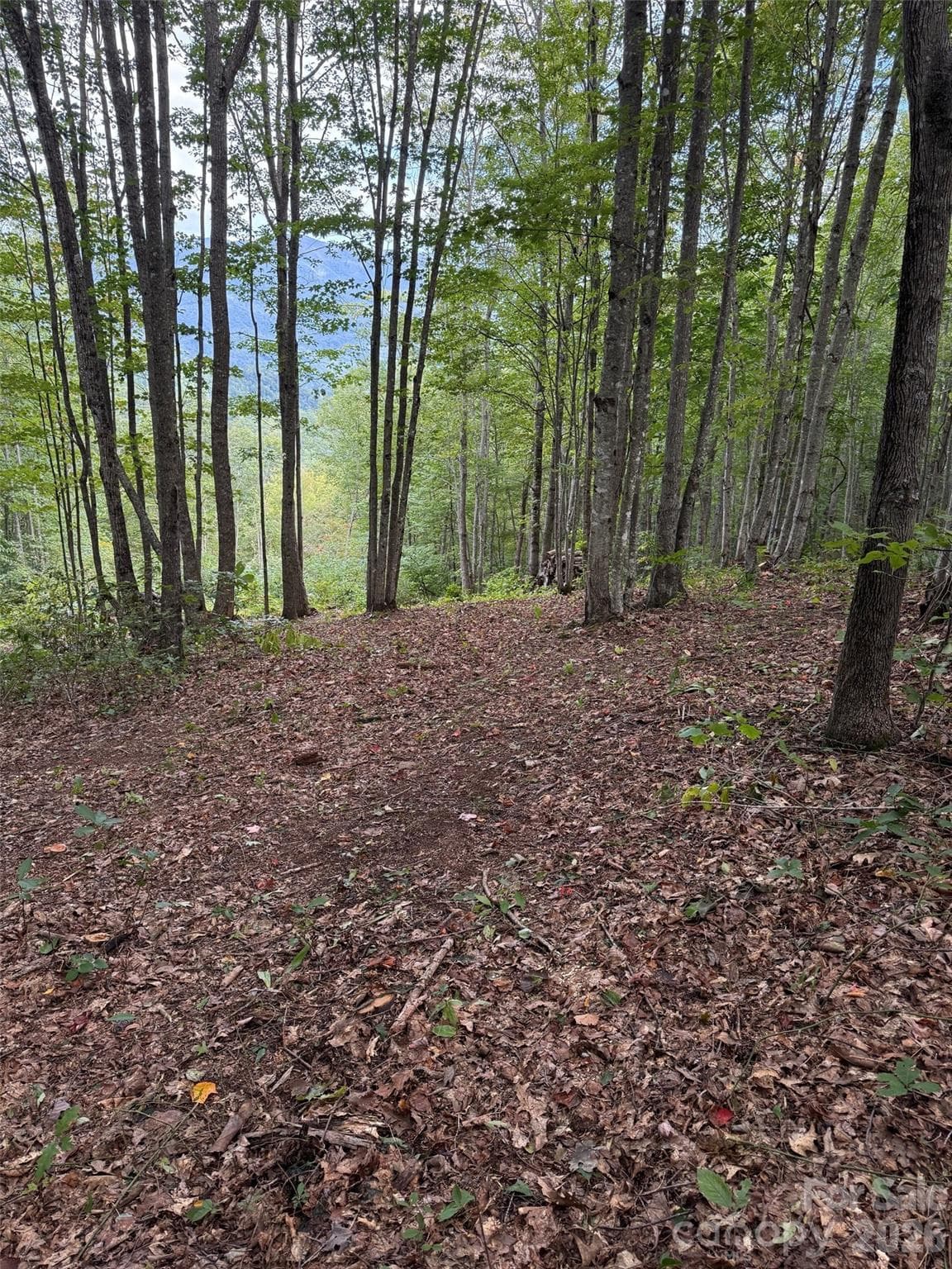 Lot at Sylva, photo 5 of 21