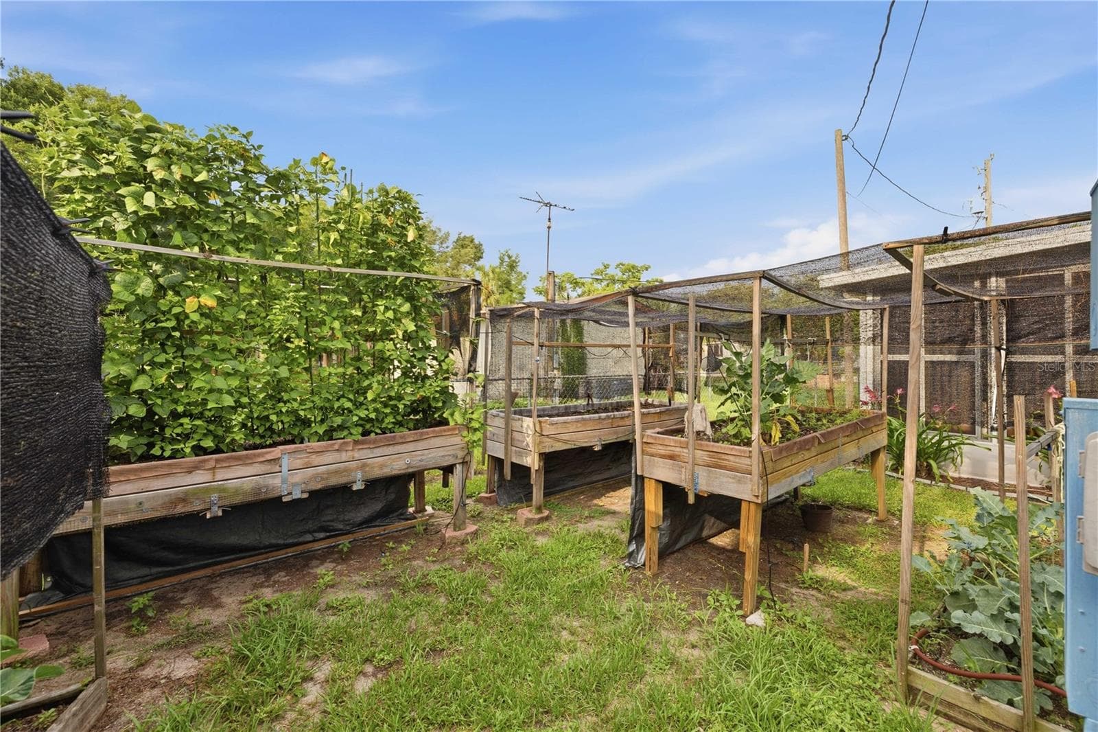 Manufactured Home at 14121 SE 91ST CT, SUMMERFIELD, photo 17 of 36