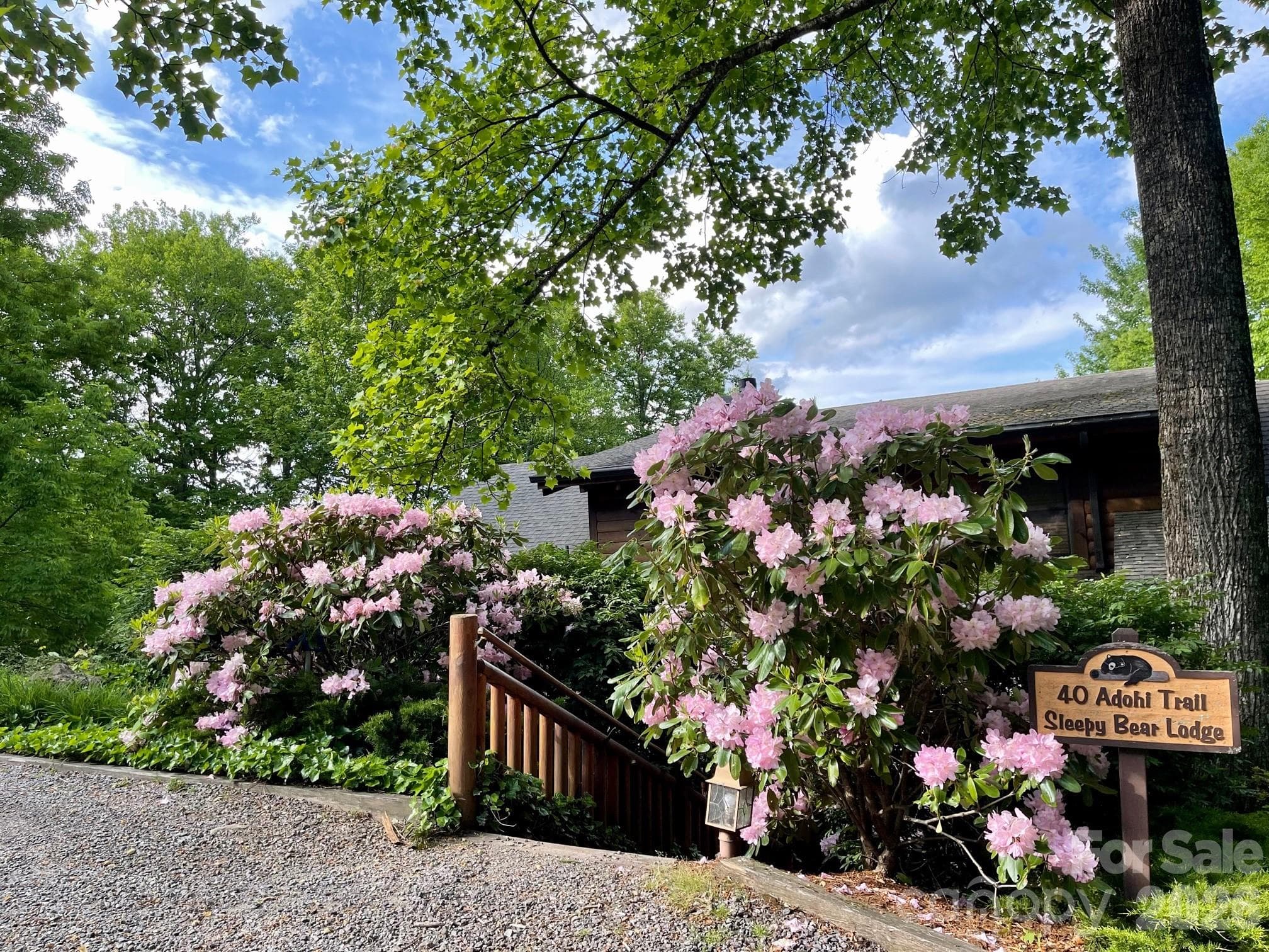 Single Family Residence at Maggie Valley, photo 16 of 29