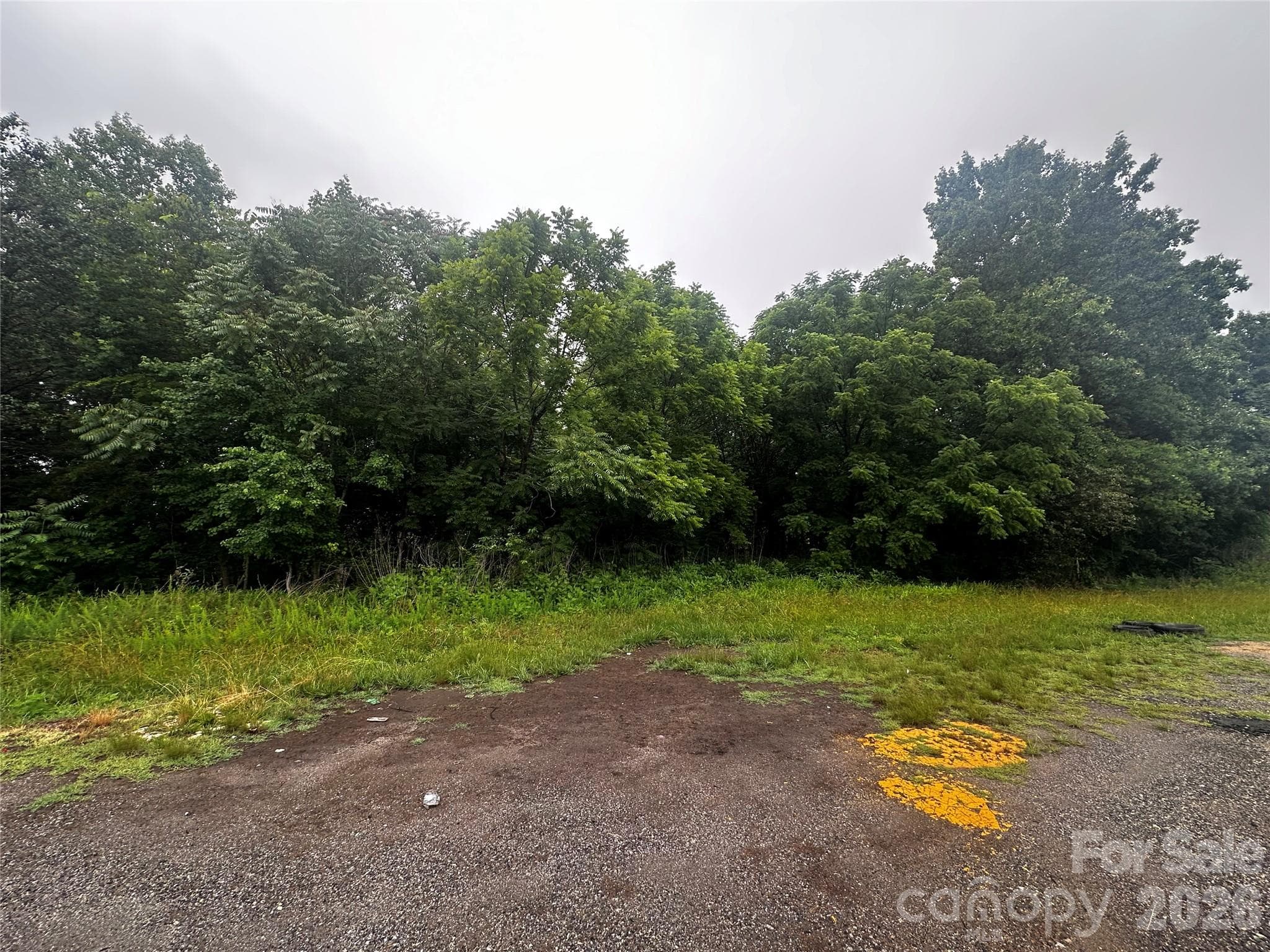 Lot at 2005 Cheatham Ford Road, Hiddenite, photo 2 of 2