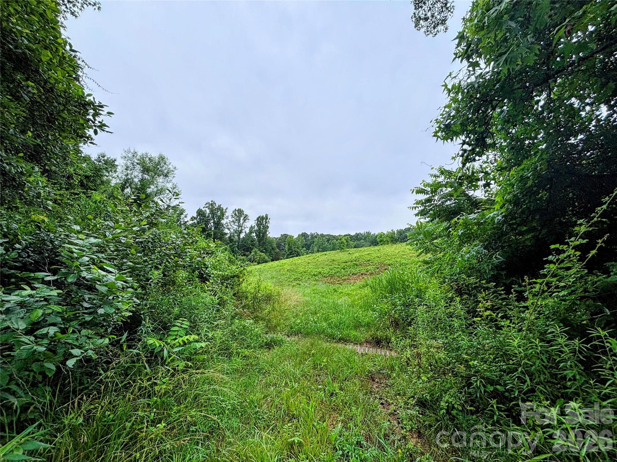 Lot at Mooresville, photo 2 of 2