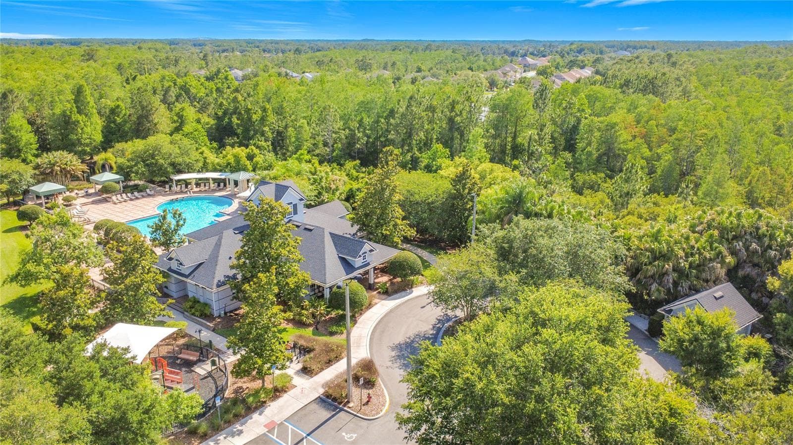 Community pool - 1060 ROCK HARBOR AVE, ORLANDO