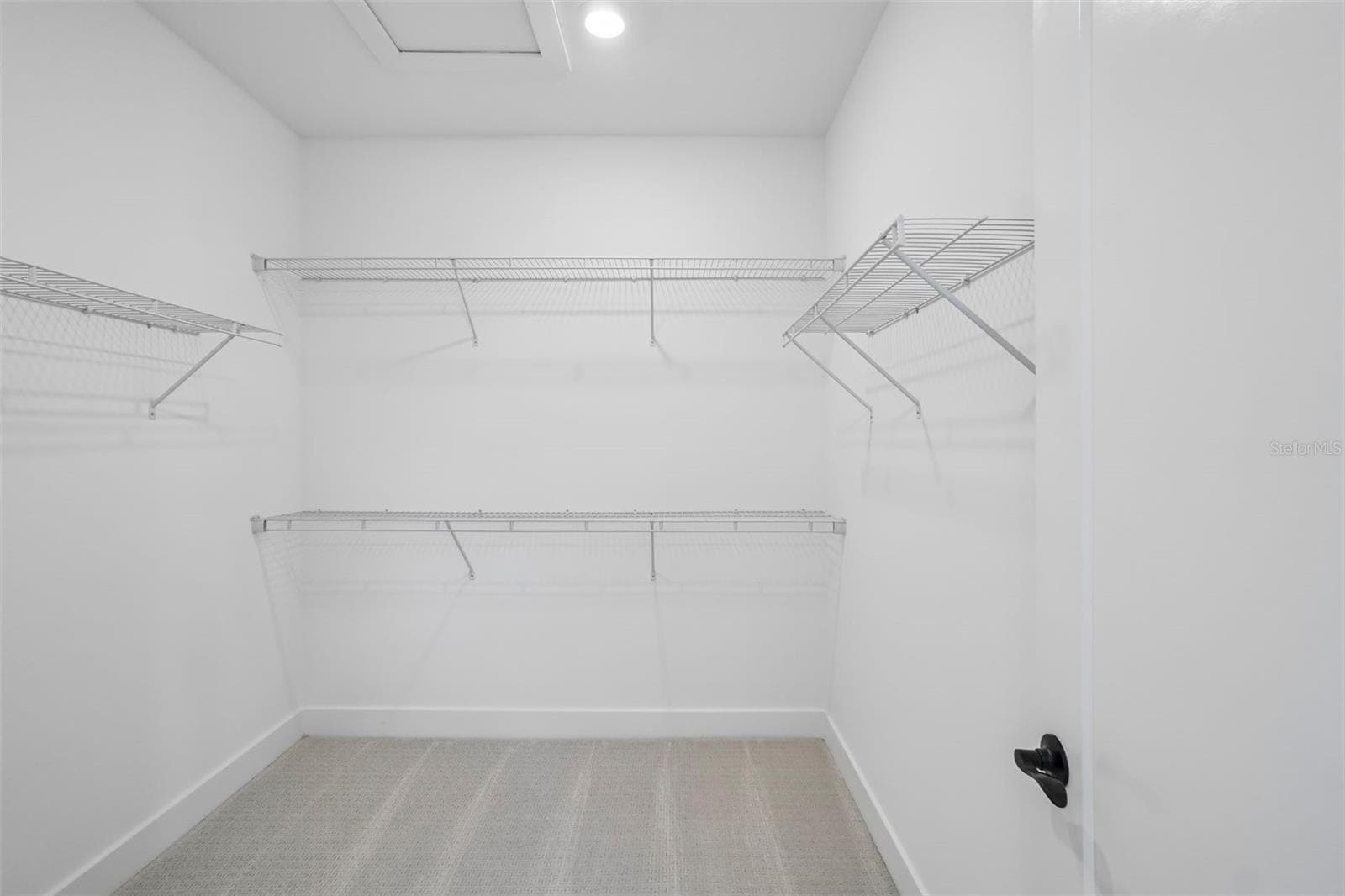 Model Representation - 1787 ESCALANTE WAY, ZEPHYRHILLS