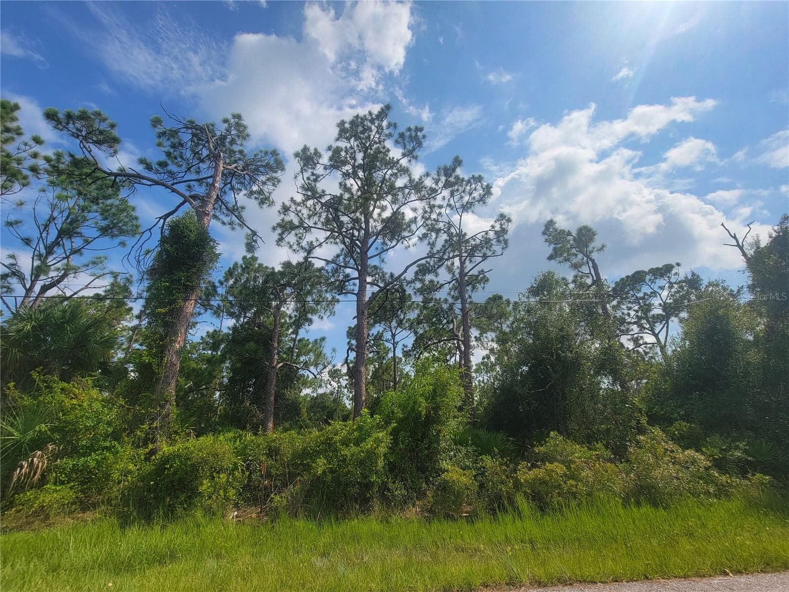 1508 BISCAYNE DR