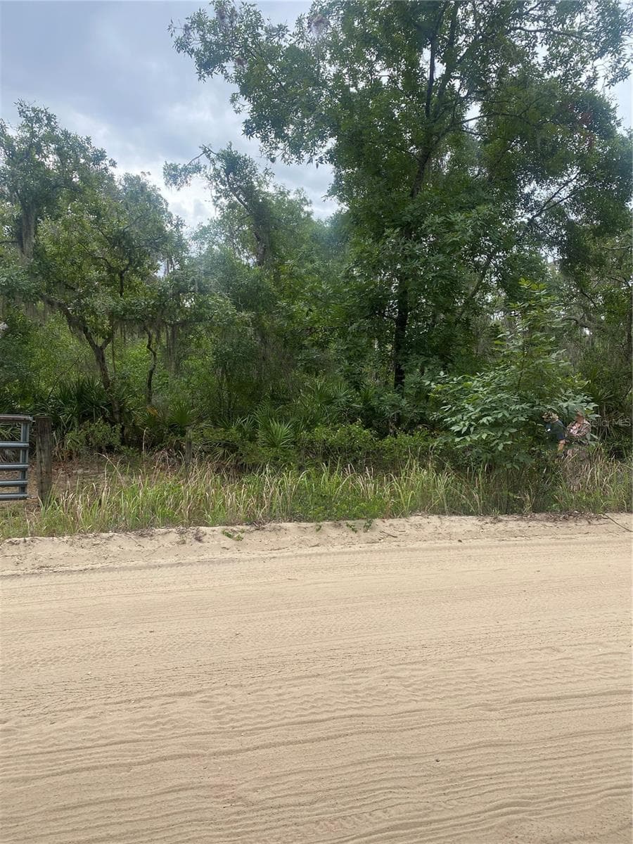 Land at 0 MILLSTREAM DR, GROVELAND, photo 5 of 13