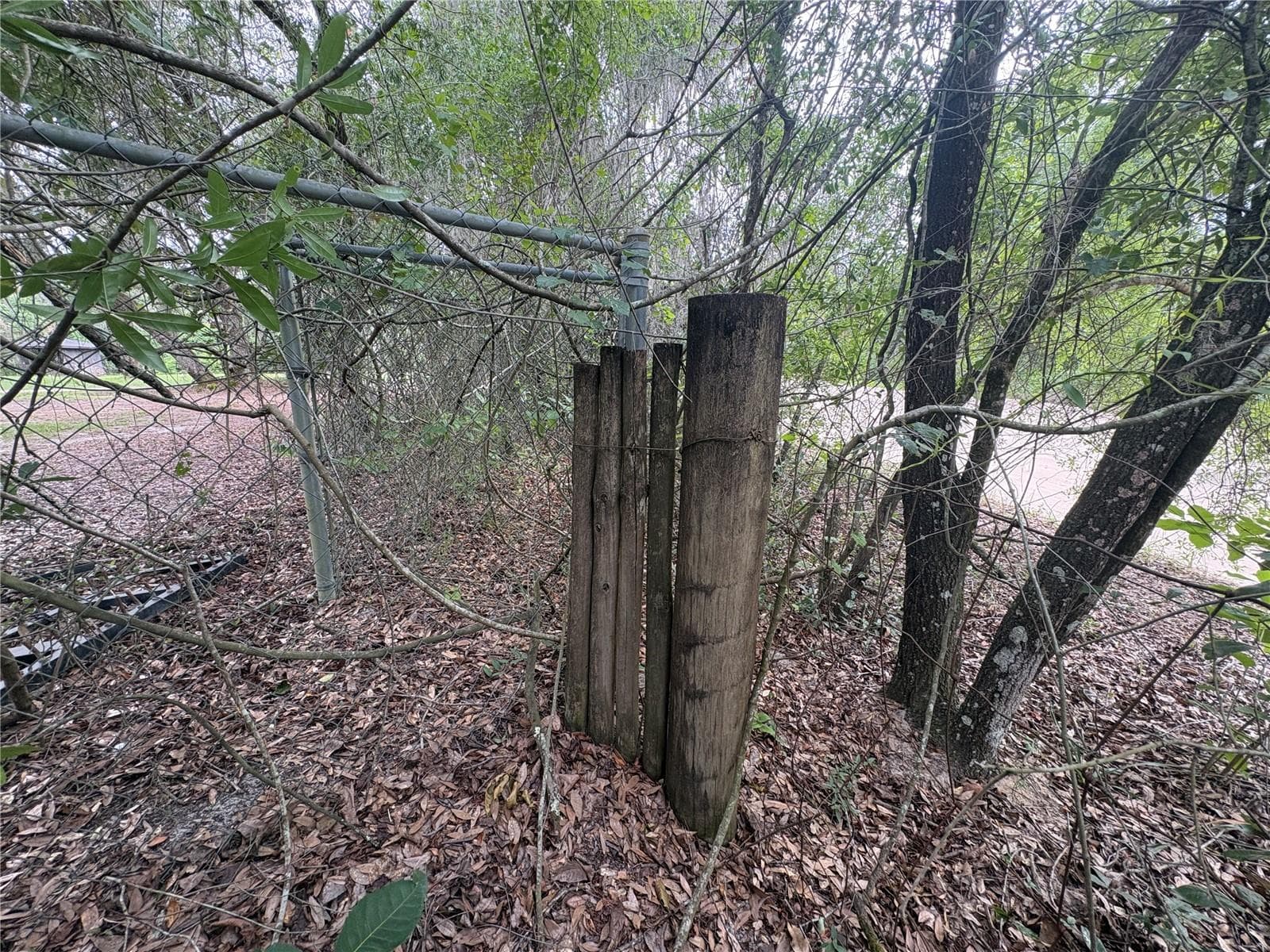 Land at 0 MILLSTREAM DR, GROVELAND, photo 6 of 13