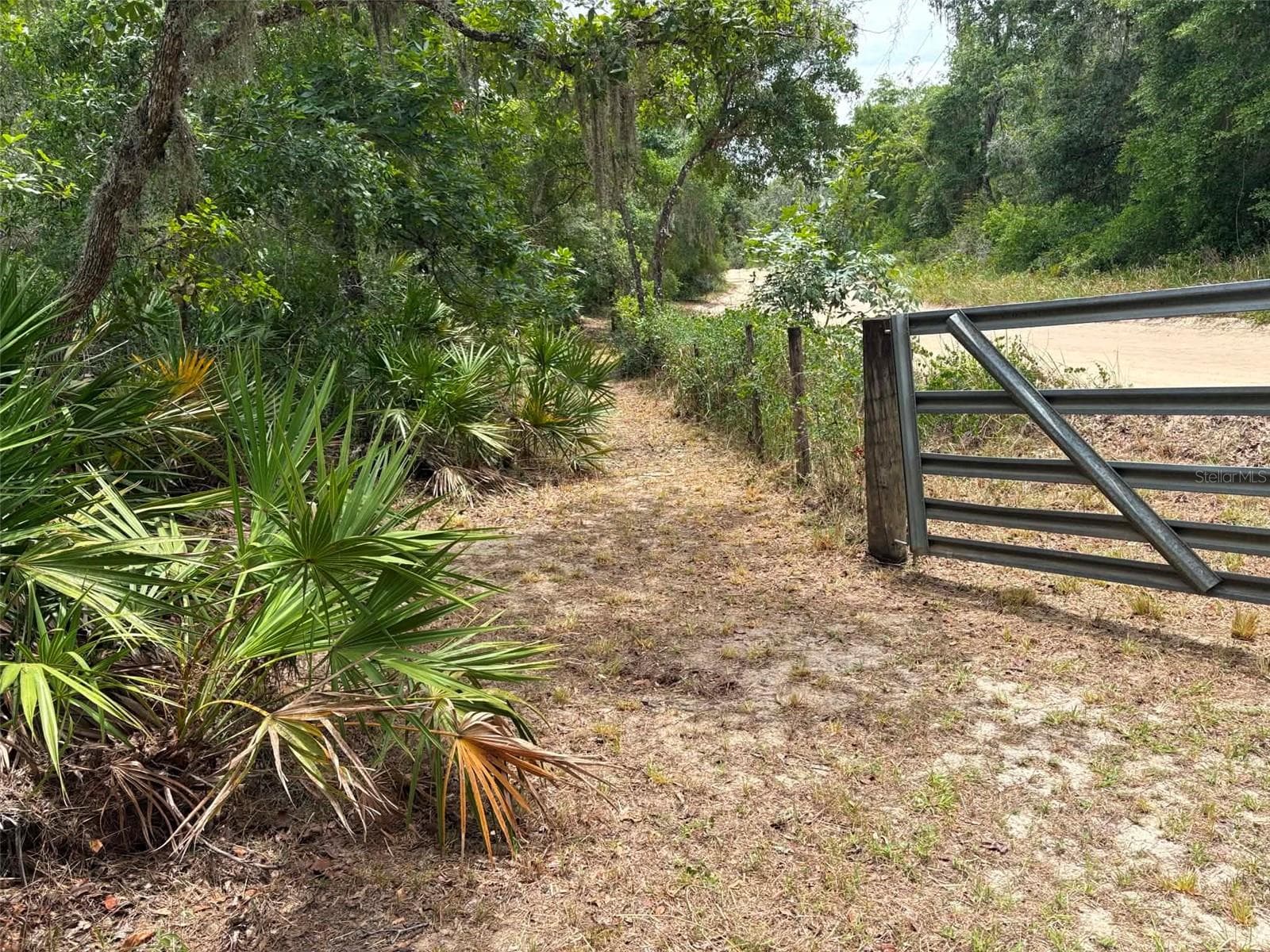 Land at 0 MILLSTREAM DR, GROVELAND, photo 4 of 13