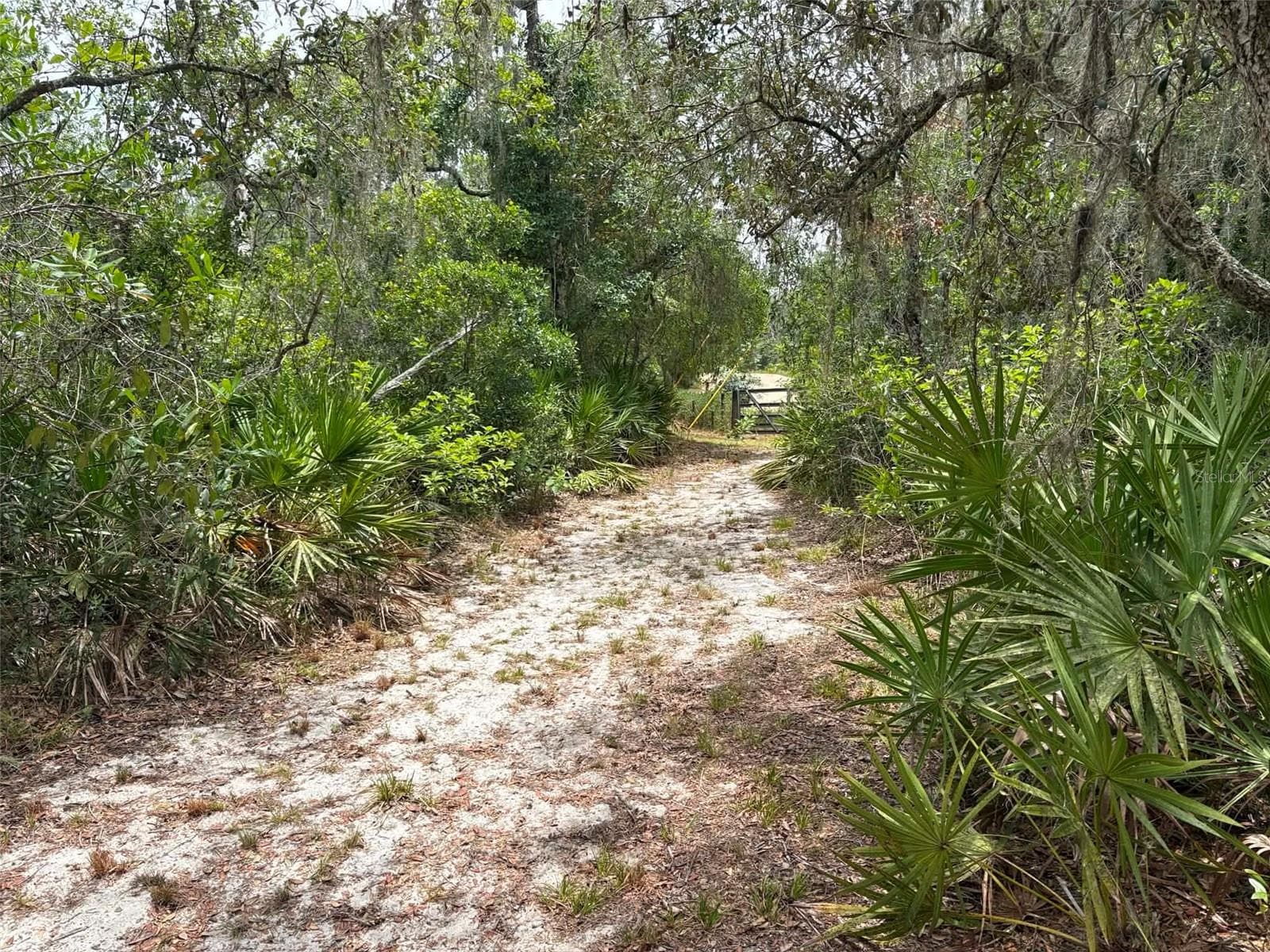 Land at 0 MILLSTREAM DR, GROVELAND, photo 10 of 13