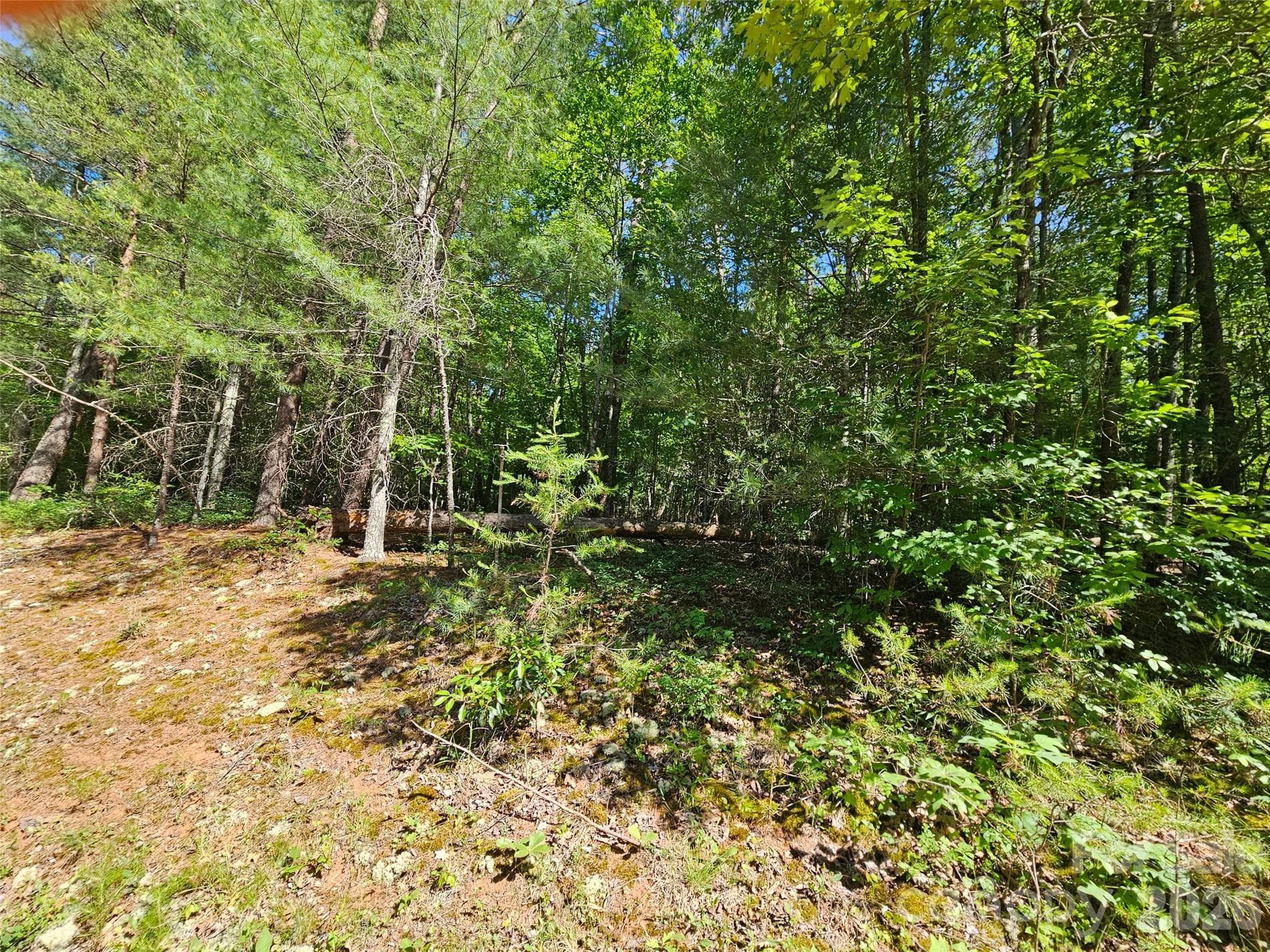 Lot at Lake Lure, photo 6 of 10
