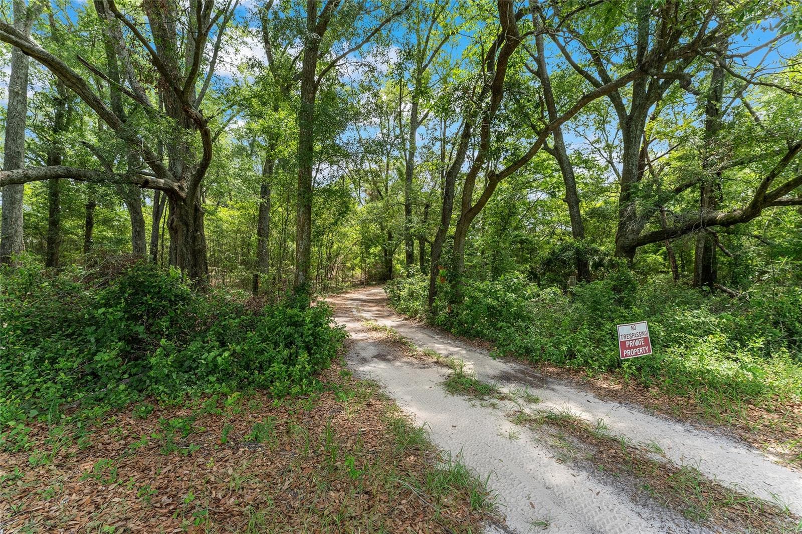 Land at TBD NW STATE ROAD 27/45, NEWBERRY, photo 5 of 41
