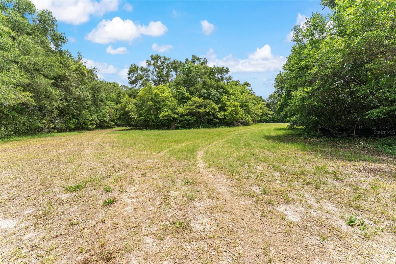 Land at TBD NW STATE ROAD 27/45, NEWBERRY, photo 11 of 41