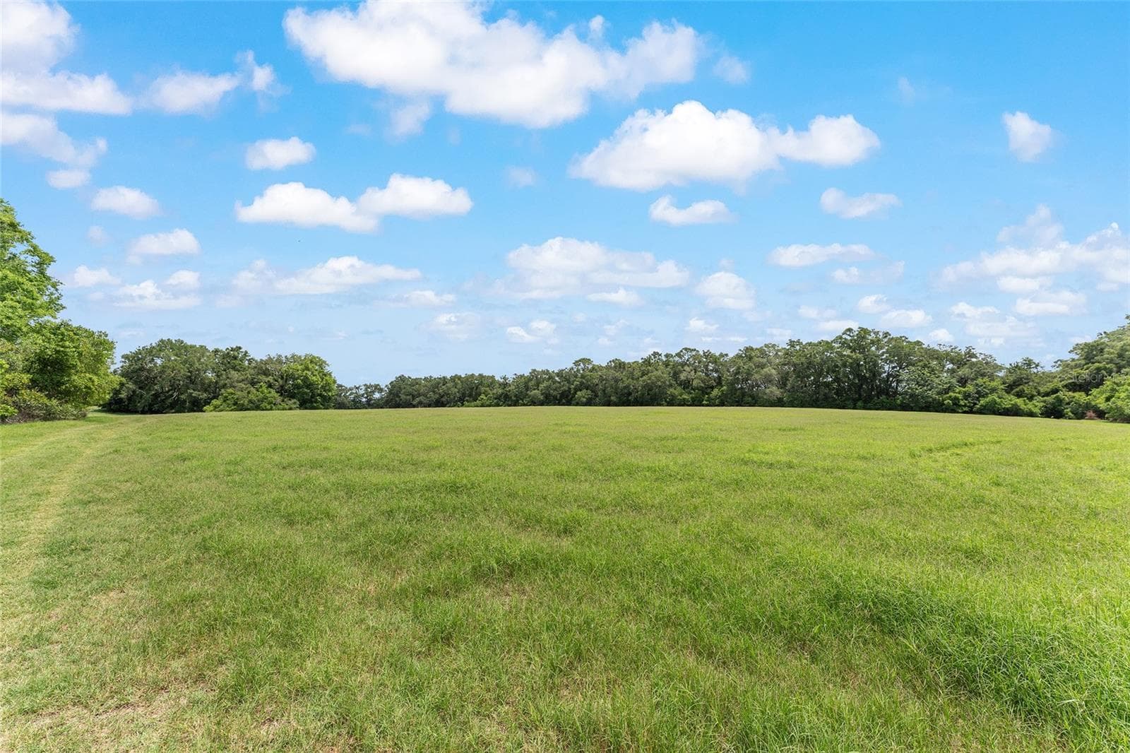 Land at TBD NW STATE ROAD 27/45, NEWBERRY, photo 17 of 41