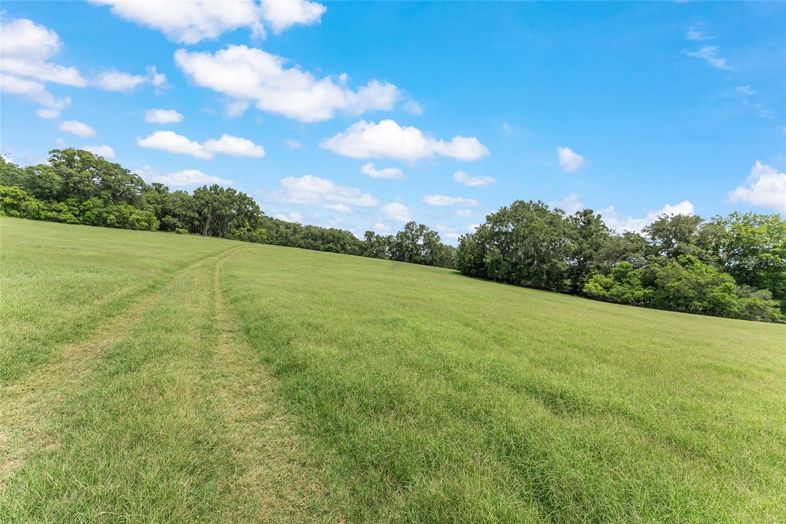 Land at TBD NW STATE ROAD 27/45, NEWBERRY, photo 18 of 41