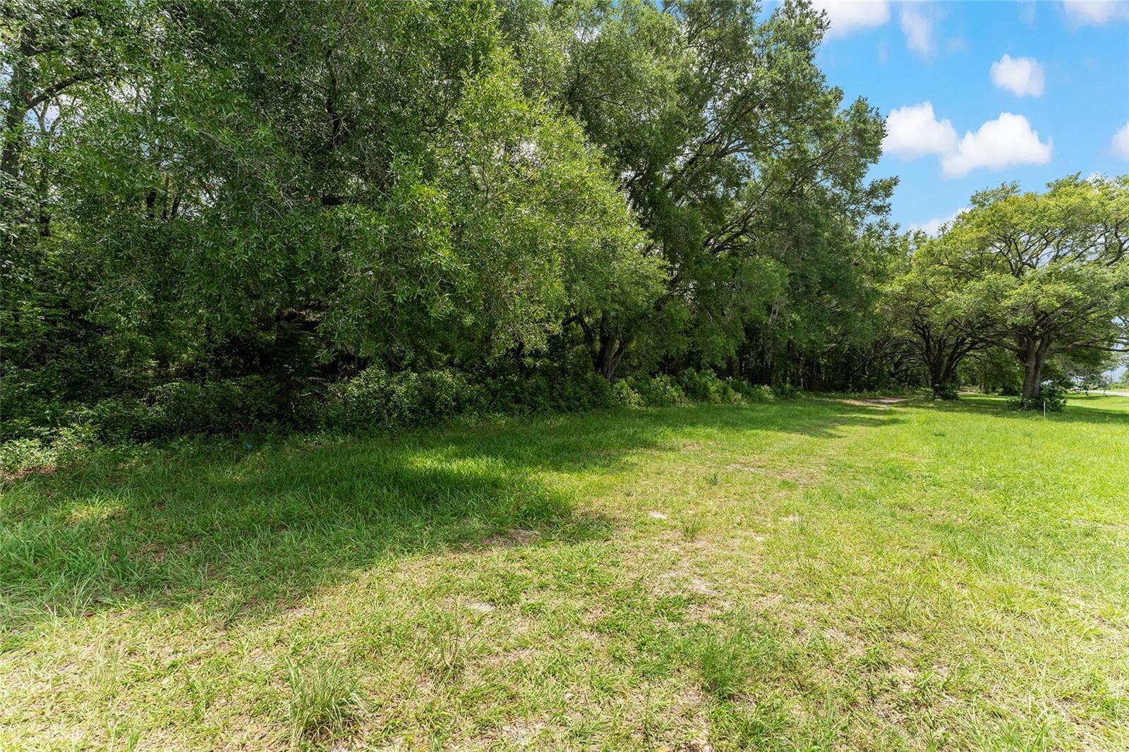 Land at TBD NW STATE ROAD 27/45, NEWBERRY, photo 21 of 41