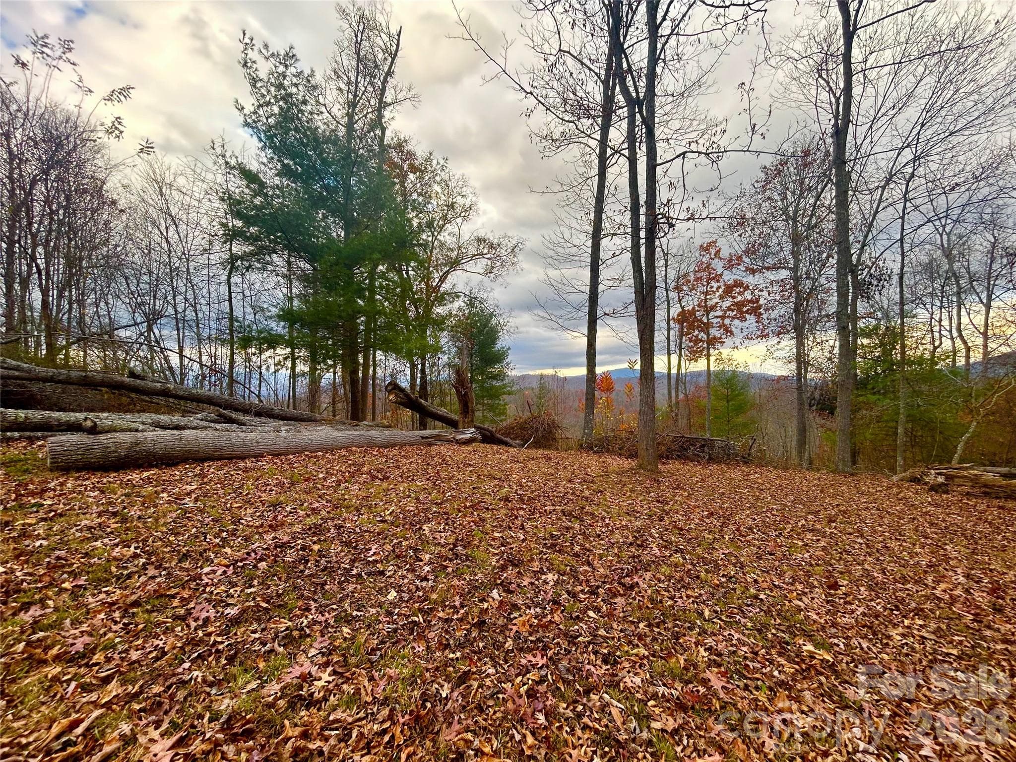 Lot at 00000 High Peak Ridge, Green Mountain, photo 4 of 20