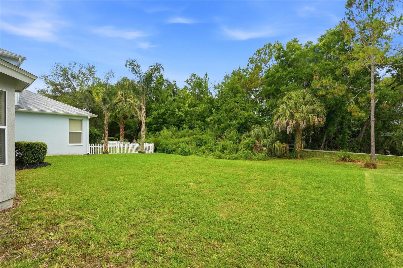 Single Family Residence at 3203 SUNWATCH DR, WESLEY CHAPEL, photo 38 of 48