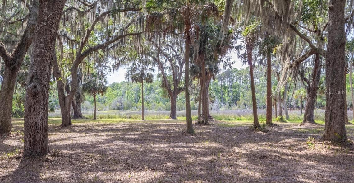 Land at 7149 FITZPATRICK LN, JACKSONVILLE, photo 11 of 69