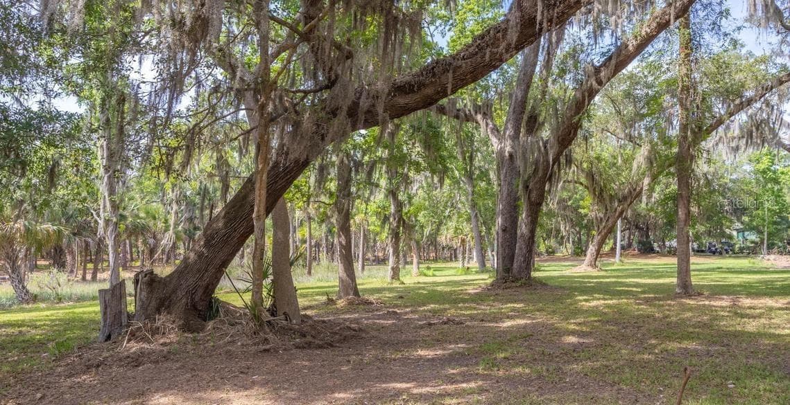 Land at 7149 FITZPATRICK LN, JACKSONVILLE, photo 19 of 69