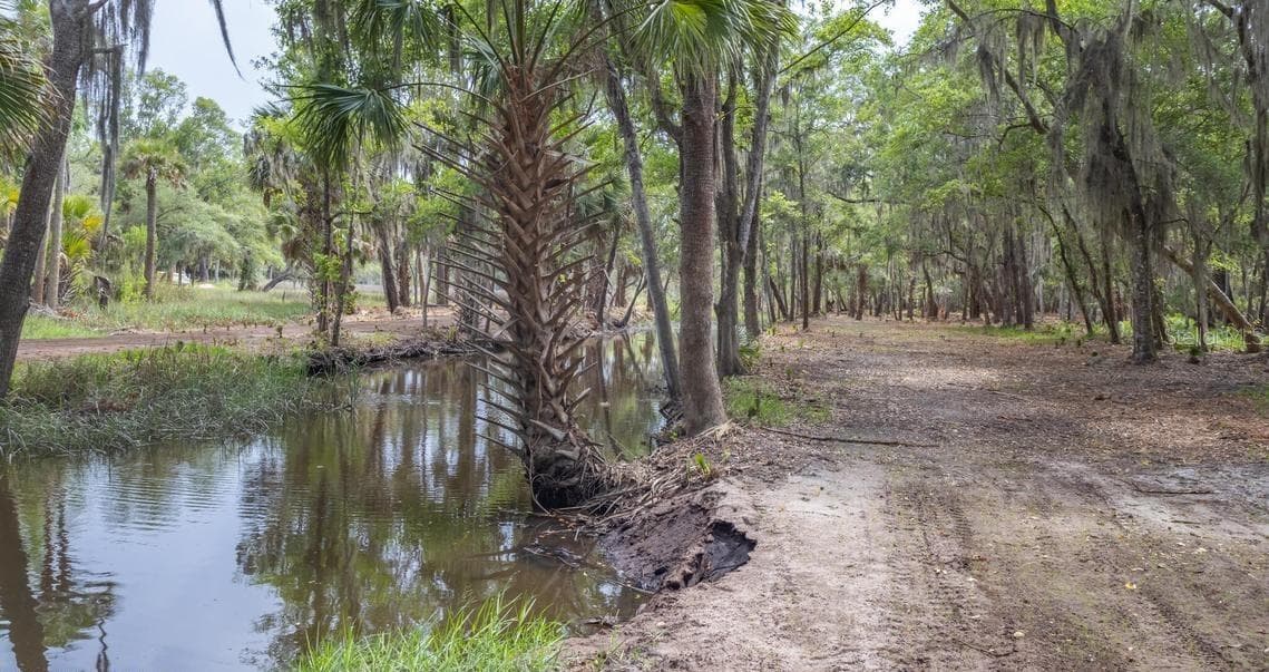 Land at 7149 FITZPATRICK LN, JACKSONVILLE, photo 30 of 69