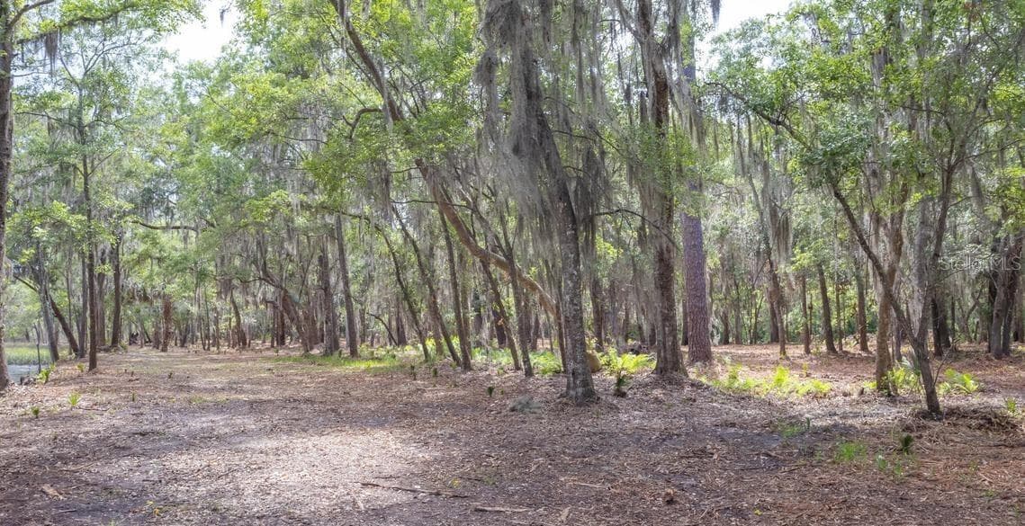 Land at 7149 FITZPATRICK LN, JACKSONVILLE, photo 31 of 69