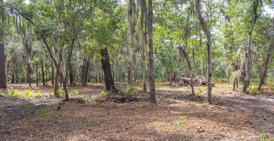 Land at 7149 FITZPATRICK LN, JACKSONVILLE, photo 32 of 69
