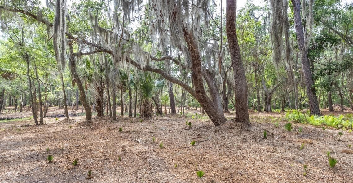 Land at 7149 FITZPATRICK LN, JACKSONVILLE, photo 33 of 69