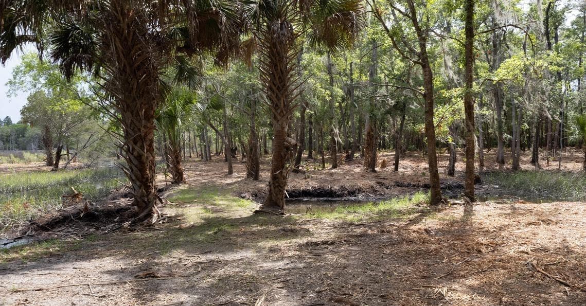 Land at 7149 FITZPATRICK LN, JACKSONVILLE, photo 36 of 69