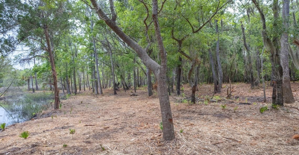 Land at 7149 FITZPATRICK LN, JACKSONVILLE, photo 38 of 69