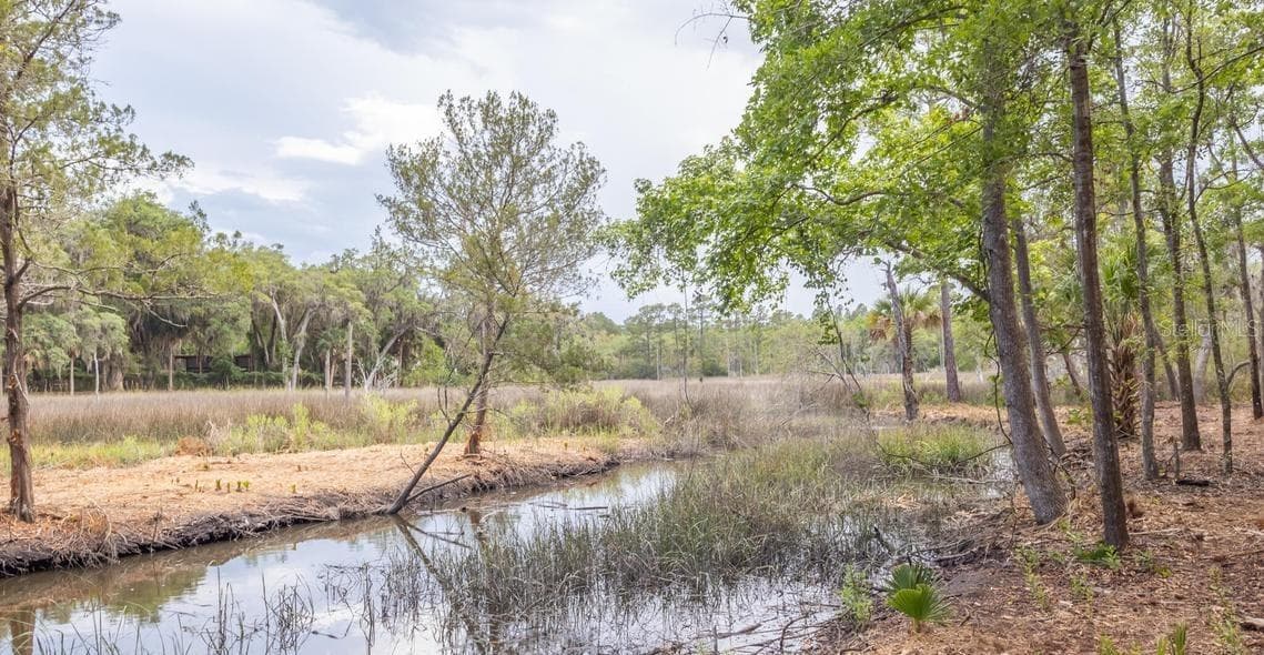 Land at 7149 FITZPATRICK LN, JACKSONVILLE, photo 39 of 69