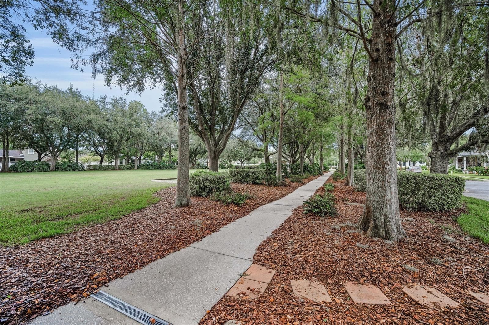Single Family Residence at 10403 MICANOPY ST, NEW PORT RICHEY, photo 62 of 87
