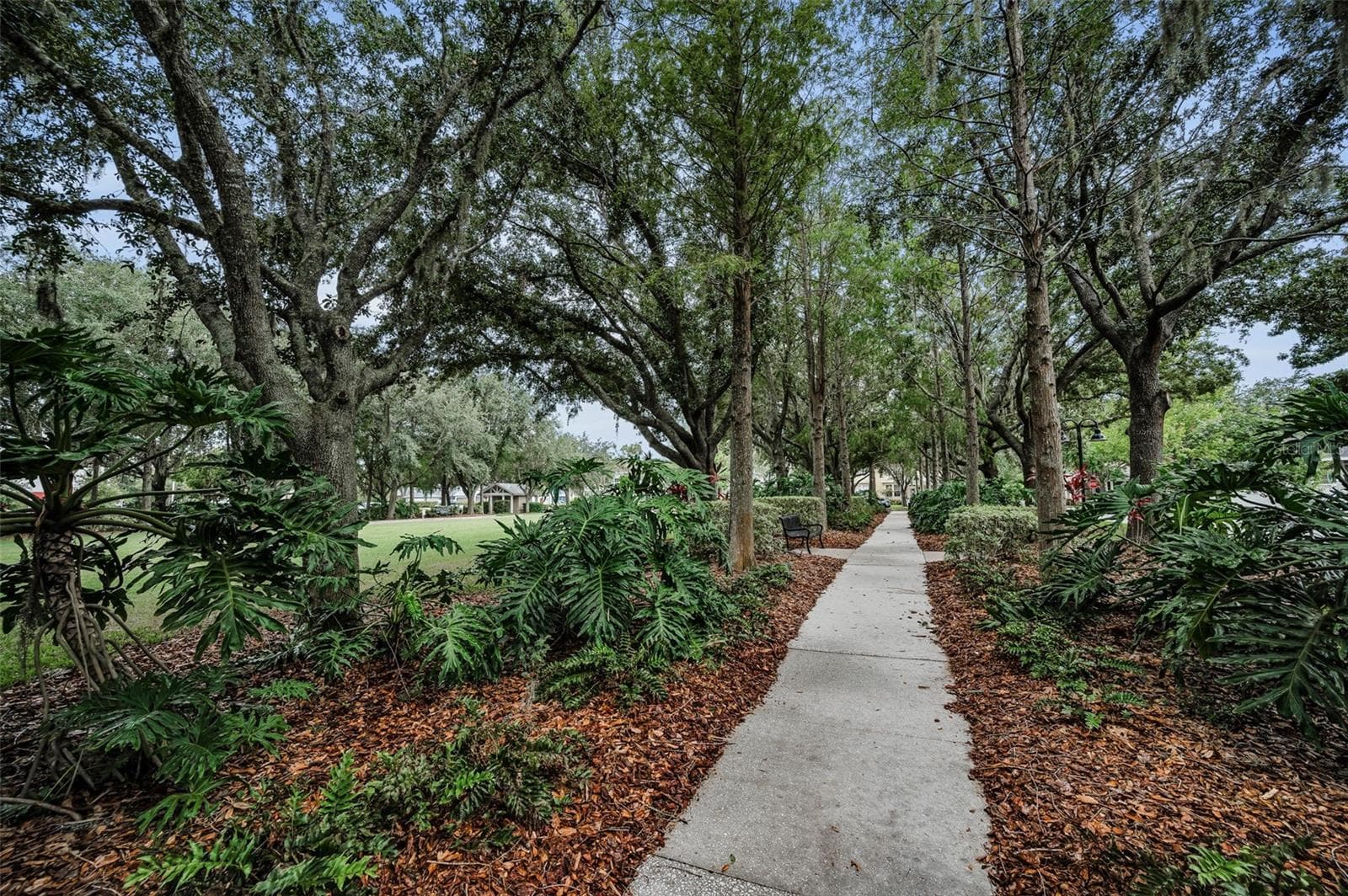 Single Family Residence at 10403 MICANOPY ST, NEW PORT RICHEY, photo 67 of 87