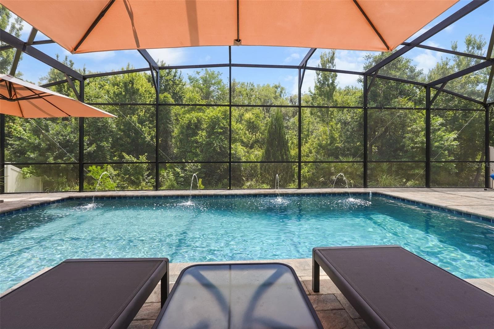 Single Family Residence at 10713 BELLE MAISONS DR, ORLANDO, photo 52 of 59
