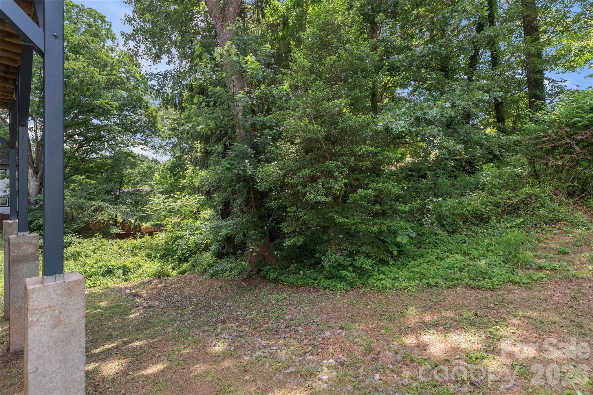 Wooded and nature-filled backyard area. - 39 Hubbard Avenue, Asheville