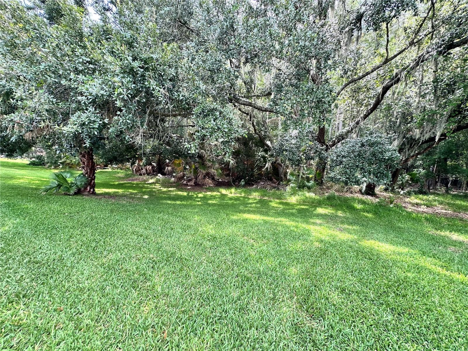 Backyard - 29439 SCHINNECOCK HILLS LN, SAN ANTONIO