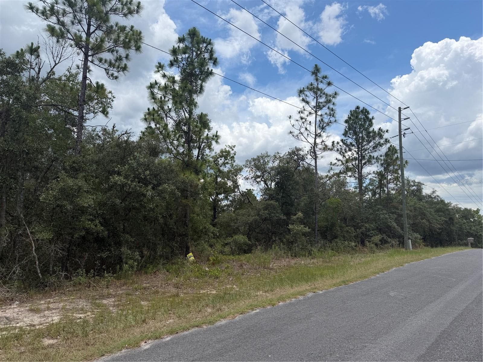 Land at 6215 S PREMIERE AVE, HOMOSASSA, photo 4 of 4