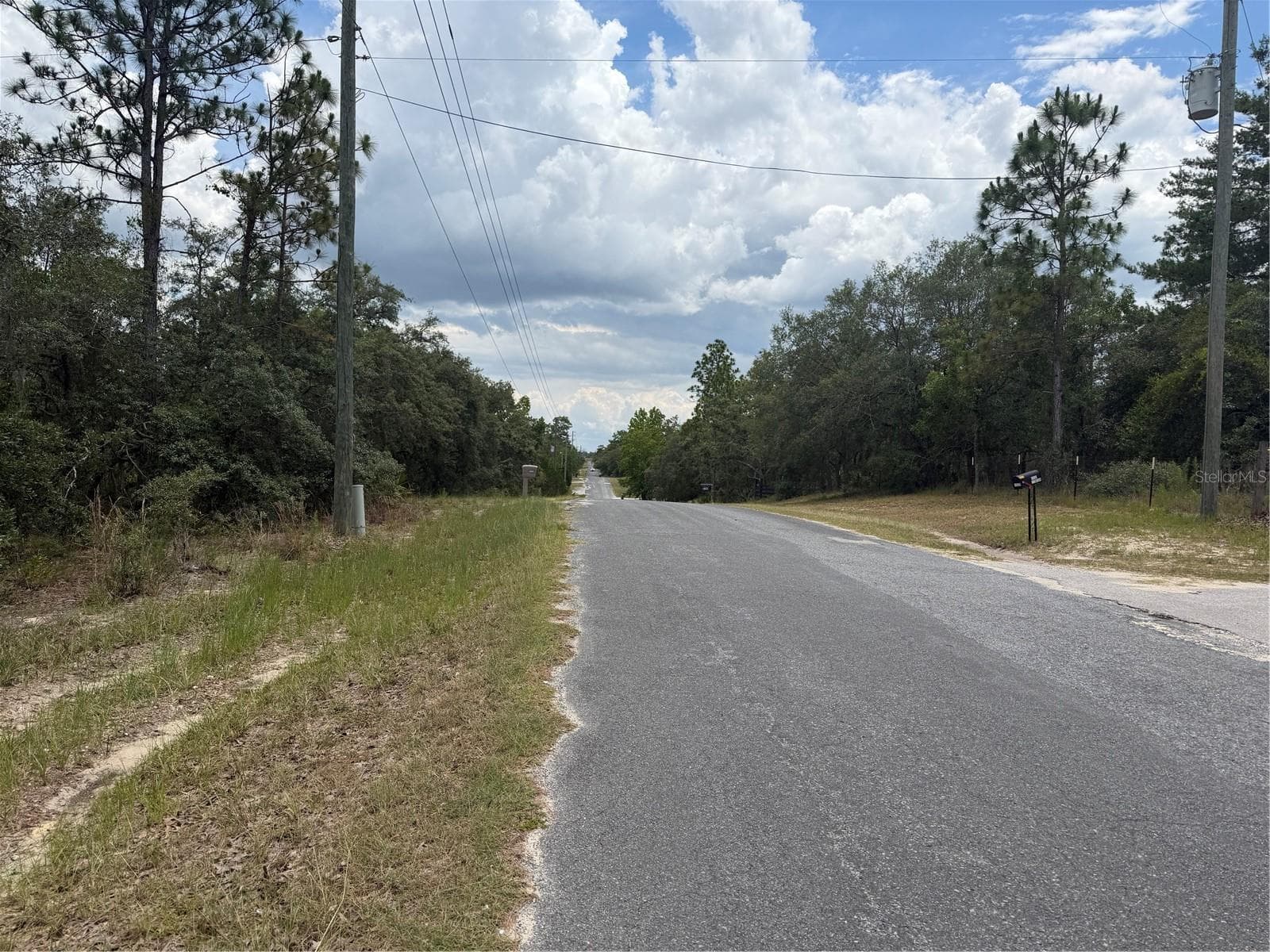 Land at 6215 S PREMIERE AVE, HOMOSASSA, photo 3 of 8