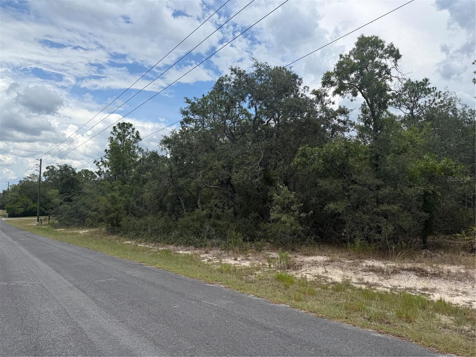 Land at 6215 S PREMIERE AVE, HOMOSASSA, photo 4 of 8