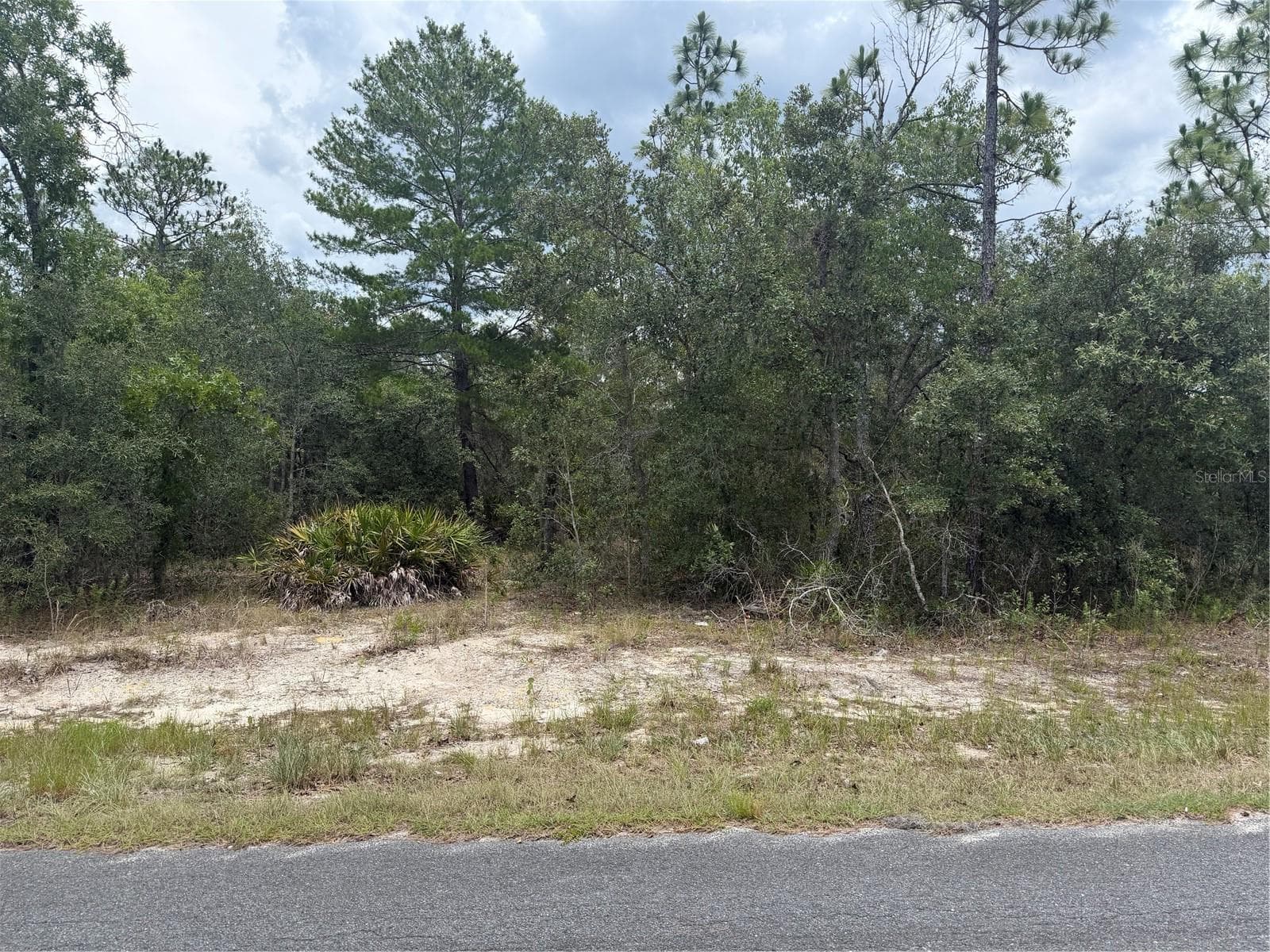Land at 6215 S PREMIERE AVE, HOMOSASSA, photo 5 of 8